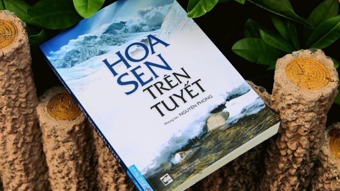 Trích dẫn hay trong sách Hoa Sen Trên Tuyết