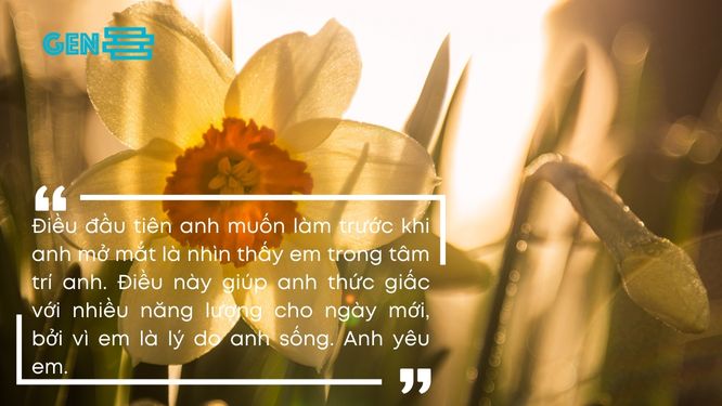 Lời chúc ngày mới tốt lành dành cho người thân
