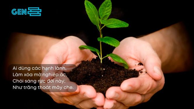 Những câu ca dao tục ngữ về luật nhân quả theo quan niệm của nhà Phật