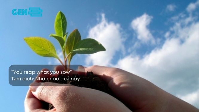 Những câu ca dao tục ngữ về luật nhân quả trong tiếng Anh