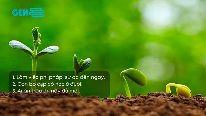 Những câu ca dao tục ngữ về luật nhân quả